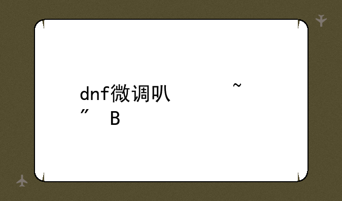 dnf微调可以查到吗