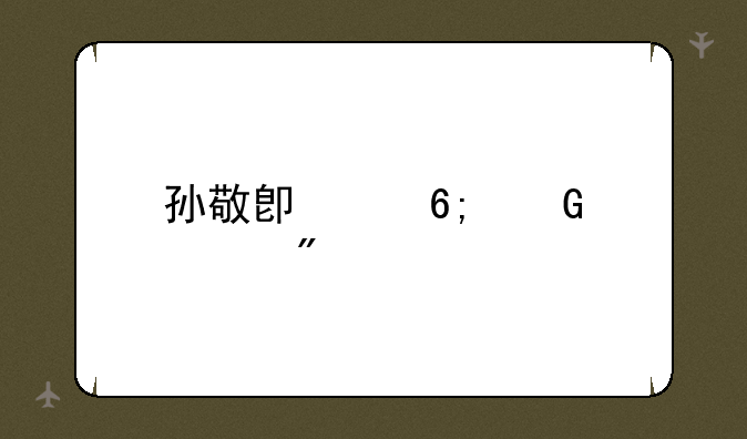 孙敬卿中华网游戏