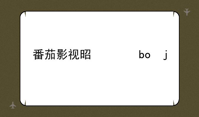 番茄影视是干嘛的