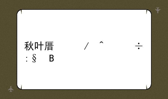 秋叶原之旅好玩吗