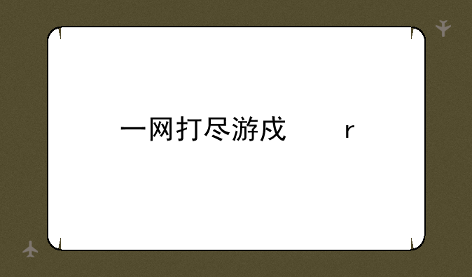 一网打尽游戏机