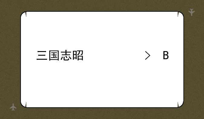 三国志是正史吗