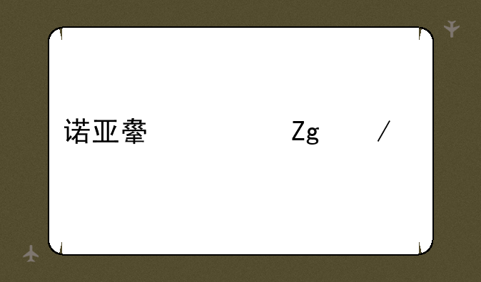 诺亚舟资料下载