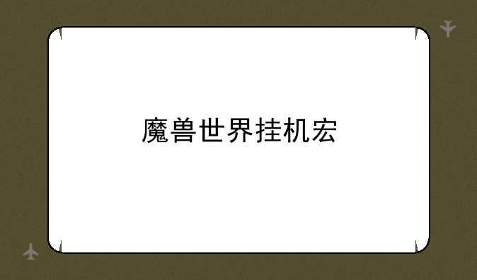 魔兽世界挂机宏