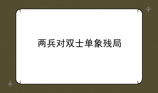 两兵对双士单象残局