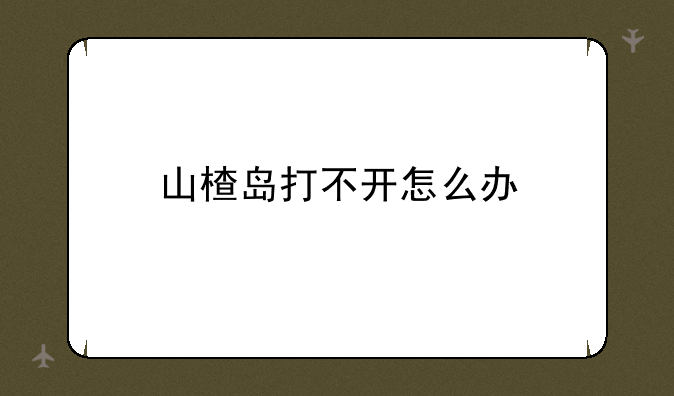 山楂岛打不开怎么办