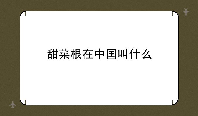 甜菜根在中国叫什么