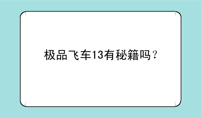 极品飞车13有秘籍吗？