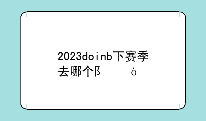 2023doinb下赛季去哪个队伍