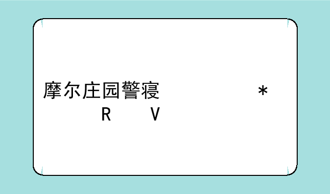 摩尔庄园警察任务全攻略