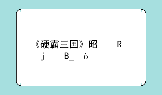 《硬霸三国》是电魂的吗？