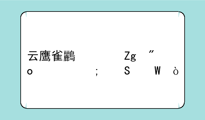 云鹰雀鸟饲料创造与魔法？