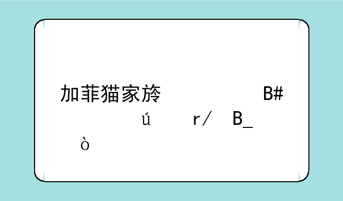 加菲猫家族适合情侣看吗？