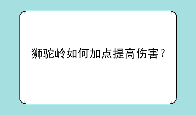 狮驼岭如何加点提高伤害？