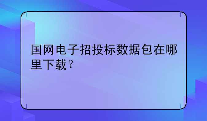 国网电子招投标数据包在哪里下载