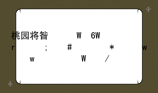 桃园将星录单机怎么添加宝宝如何下载