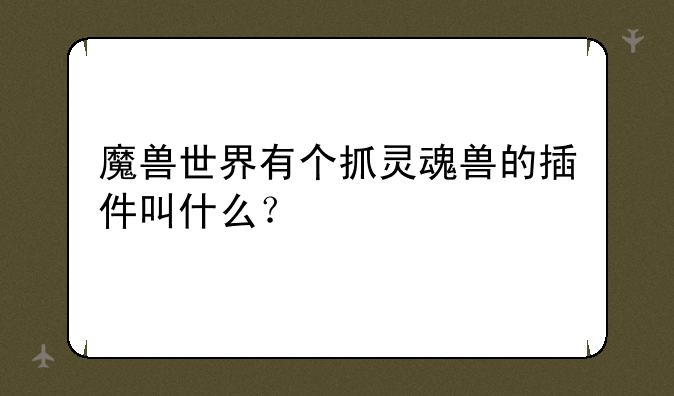 魔兽世界有个抓灵魂兽的插件叫什么？