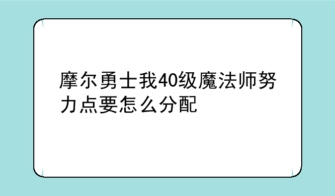 摩尔勇士我40级魔法师努力点要怎