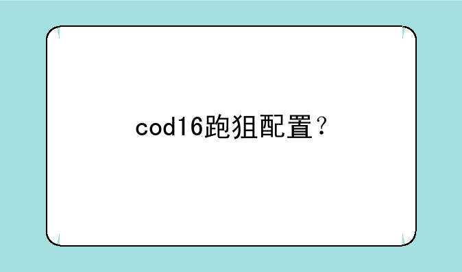 cod16跑狙配置？