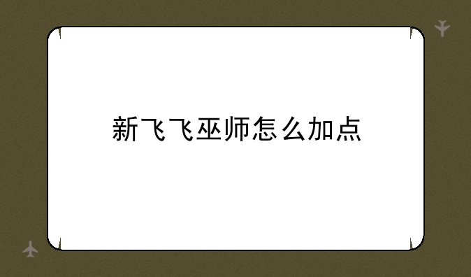 新飞飞巫师怎么加点