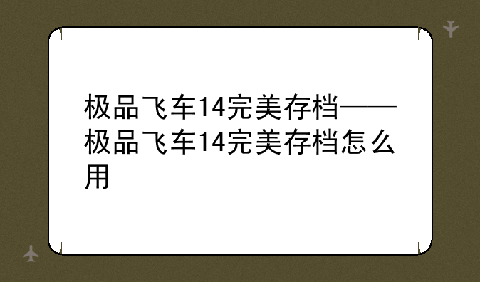极品飞车14完美存档——极品飞车14完美存档怎么用