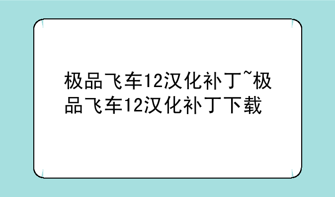极品飞车12汉化补丁~极品飞车12汉化补丁下载