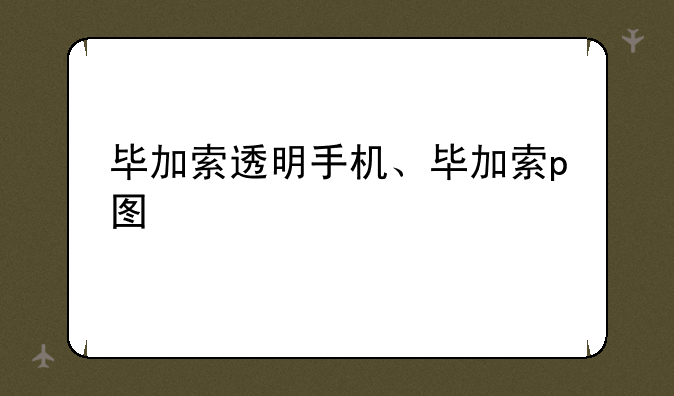 毕加索透明手机、毕加索p图