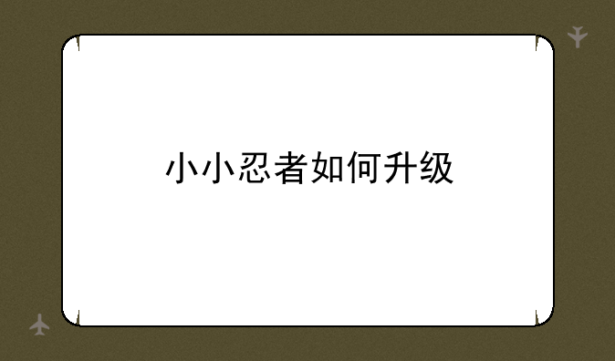 小小忍者如何升级