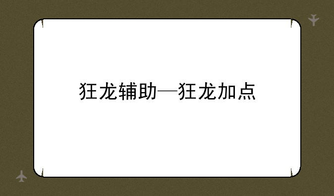 狂龙辅助—狂龙加点